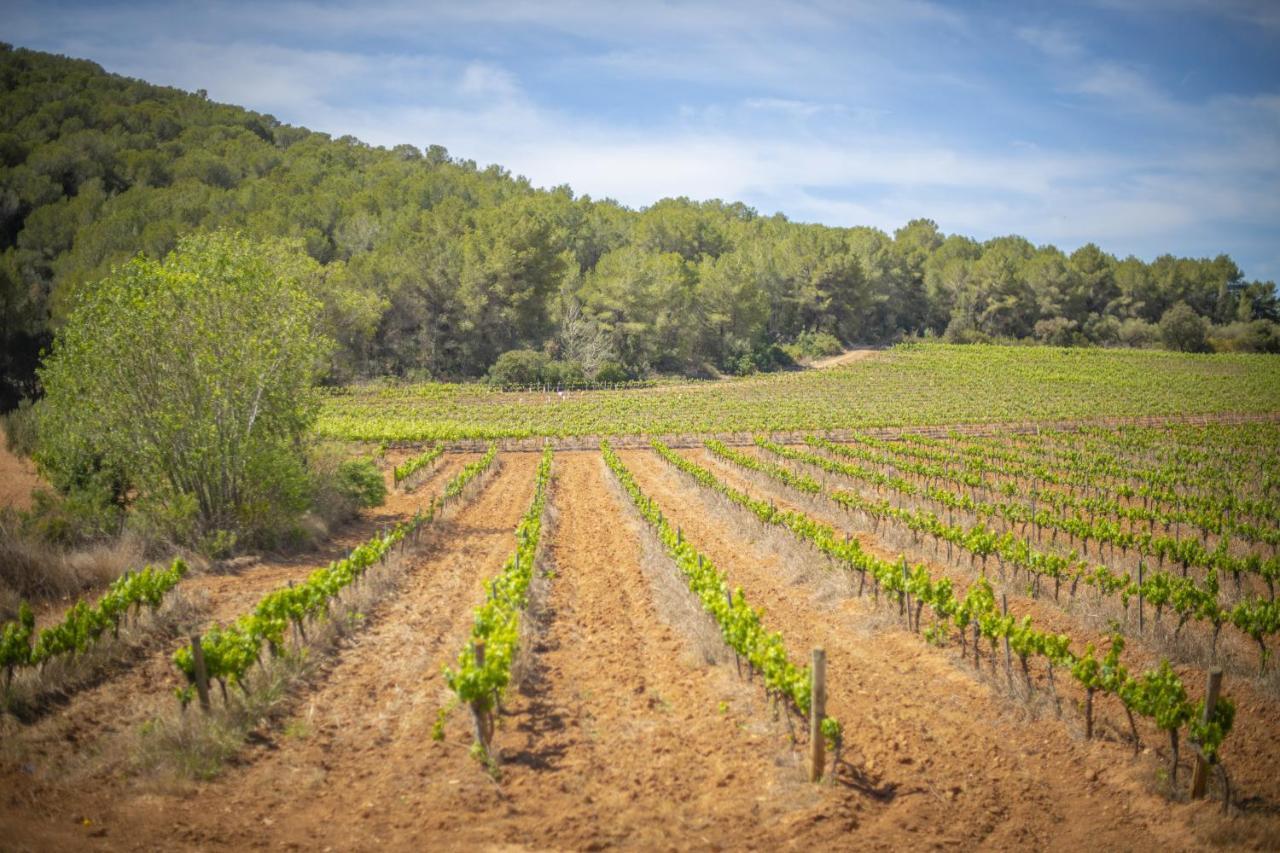 Catalunya Casas Tranquil Nature "Feel" , Yet Only 4 Min To Beach! Calafell Extérieur photo